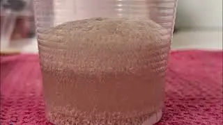 ประสิทธิภาพการทำให้เป็นกลางของเปลือกไข่และช็อก