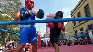 🥊 Torneo de box amateur / segunda pelea