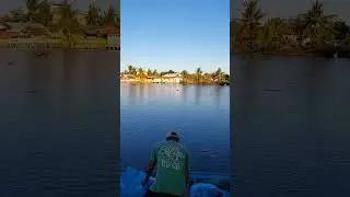 Province life/Fishpond #amazing #fishing #bangus #milkfish #adventure #harvest