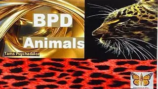 Your BPD PETS & Tips to HELP THEM