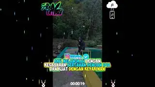 Editor avivelayer terbaru 2021