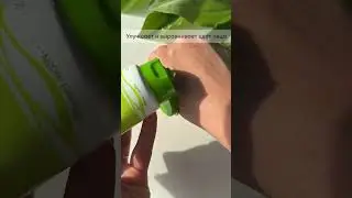 Оливковый пилинг SPA technology