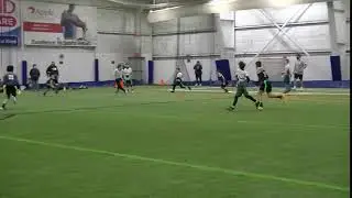 68 Silky Hogan-Ravens QB hands off to zEmmit who runs up for a short gain.