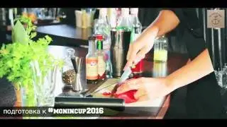 Подготовка к #monincup2016