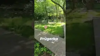 Kam s deťmi? - Prügerka