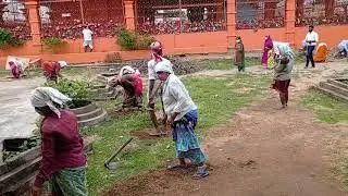 subscribe