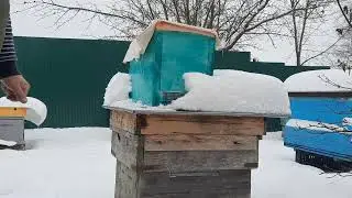 пока живы.