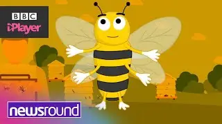 Why are BEES so IMPORTANT? | World Bee Day | Newsround