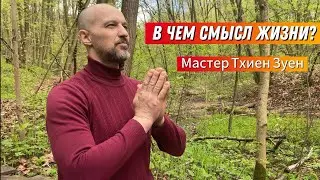 В ЧЕМ СМЫСЛ ЖИЗНИ? Мастер Тхиен Зуен