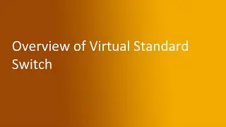 3.1 Overview of Virtual Standard Switch