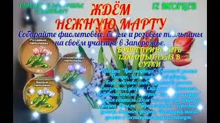 Игра Запорожье #12месяцев 