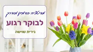 מדיטציה לבוקר רגוע - NLP  נירית שוישה