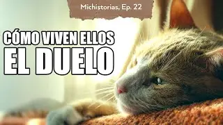 Ayuda a tu michi a superarlo | Michistorias 22
