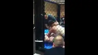 Mma fight denis alickovic teil2