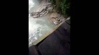 Погнали