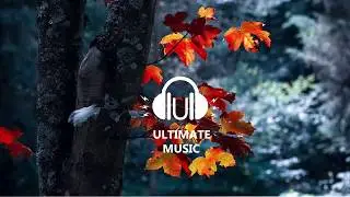 Dramatic Piano Music - Someday  (1 Hour Version)