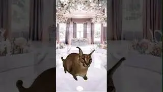 Шлёпа на свадьбе😅. Автор звука @Lizketch #шлепа #анимация #прикол #свадьба