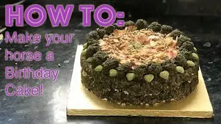 How to make a Birthday Cake for your Horse