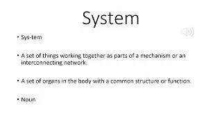 Unit 4 Vocabulary Video, Ana Barros