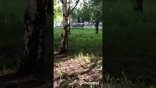 Прогулка по самой красивой улице Казани! Мелодия легенды тат музыки Рустама Валиева.