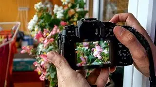Panasonic Lumix G80 (G85) Focus Stacking