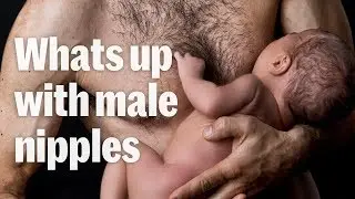 What's up with male nipples?
