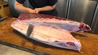 Master Chef Cuts $1000 Otoro from Giant Bluefin Tuna – Watch the Precision!
