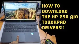 hp 250 g10 touchpad not working 