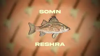 reshra - somn (Official Visualizer)