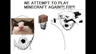 Minecraft SMP Stream