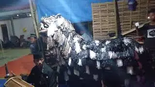 macan tutul berbahaya awas hati2 ya