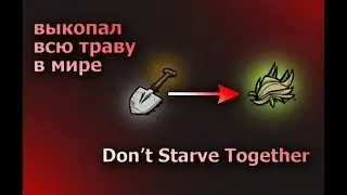 Выкопал всю траву в мире! | Don't starve together