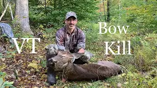 Vermont Archery deer kill