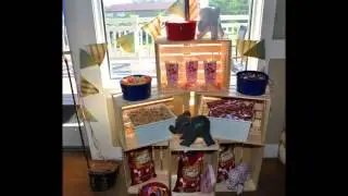 Mad Propper Events - Circus Party