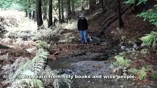 Study How Water Flows, by Morihei Ueshiba