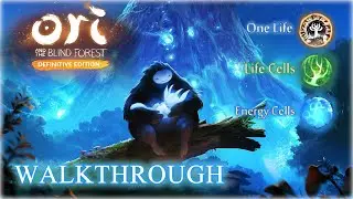 Ori and the Blind Forest 
