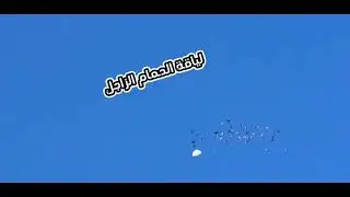 شاهد  لحضه خروج طيبين من السرب ماشاءالله