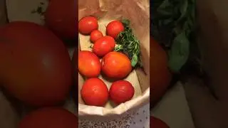 Лайфхак, как заморозить ТОМАТЫ на зиму. 
