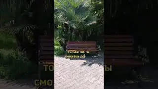 Мысль дня.