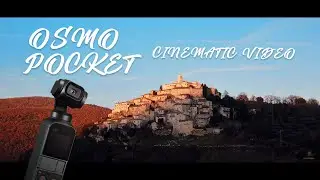 DJI OSMO POCKET CINEMATIC VIDEO LABRO FW2020 ITALY