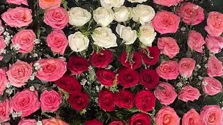 🛑When life is full of roses🥰Live update