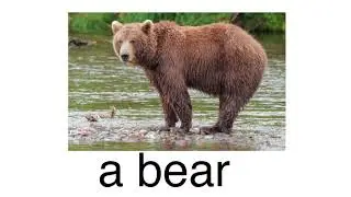 Вводный урок