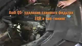 Удаление сажевого фильтра, egr, чип-тюнинг на Ауди Q5