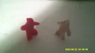 Clay Animation