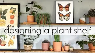 Designing a Plant Shelf