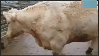 НОВЫЙ Прикольный АСМР РОЛЕПЛАУ!!!  МАникюр! Тихая неразборчивая речь!)))