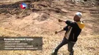Привет, земляне!