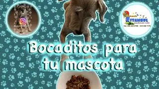 Bocaditos para tu mascota🐶🐱