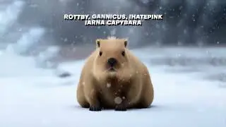 R0ttby  - IARNA CAPYBARA FEAT  Gannicus96 x IHATEPINK