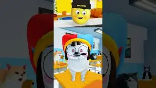Помни собака в школе кошек! 😄🐱 #shorts #цифровойцирк